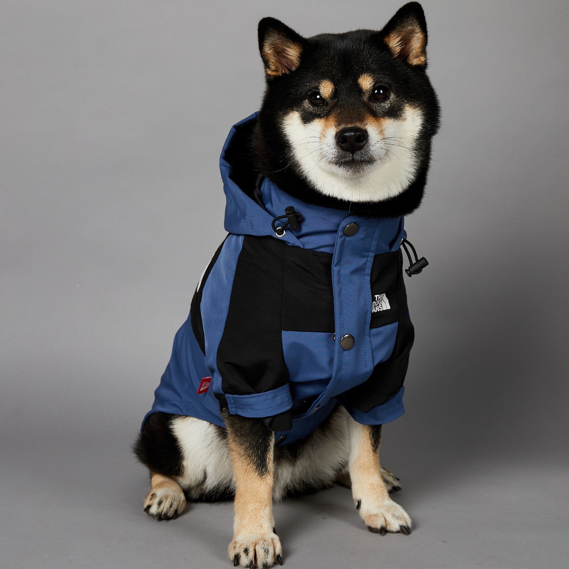 Fashion Brand Windproof Rain-proof North Dog Face New Dog Large Dog Raincoat Dog Pet Jacket