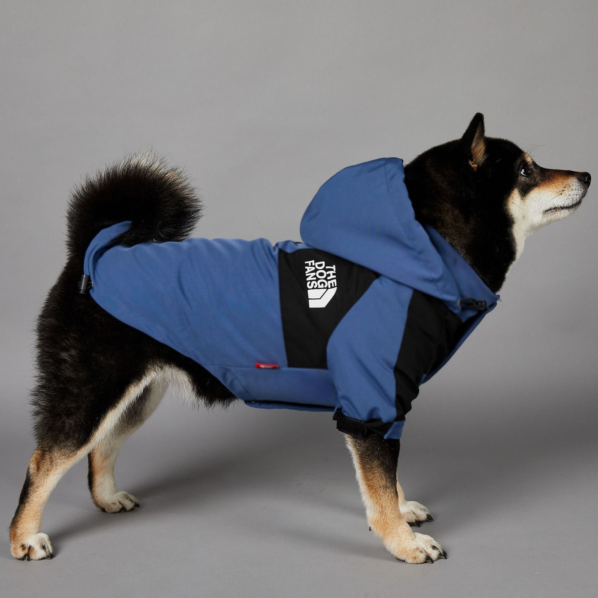 Fashion Brand Windproof Rain-proof North Dog Face New Dog Large Dog Raincoat Dog Pet Jacket