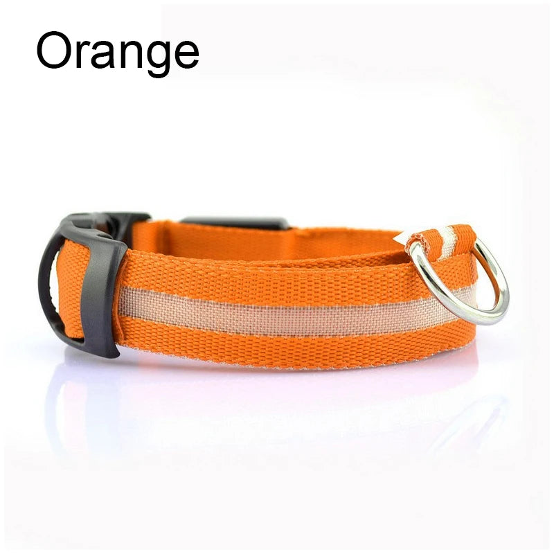 LED Nylon Dog Leash & Collar Set – Glow-in-the-Dark Flashing Pet Gear for Night Safety