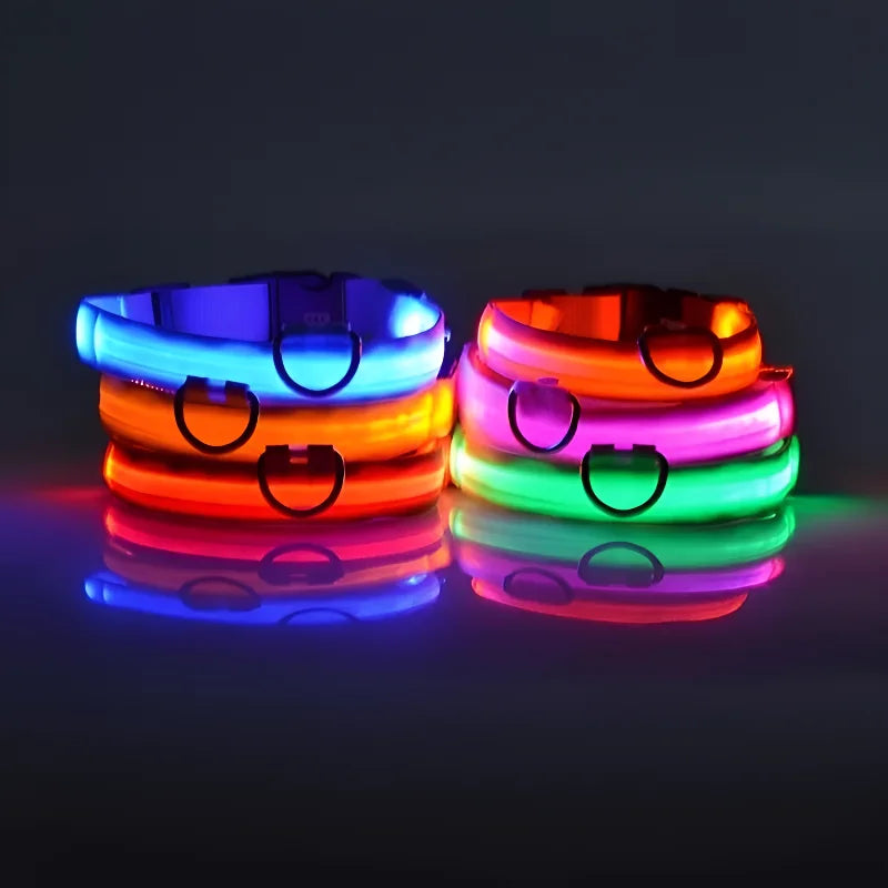 LED Nylon Dog Leash & Collar Set – Glow-in-the-Dark Flashing Pet Gear for Night Safety