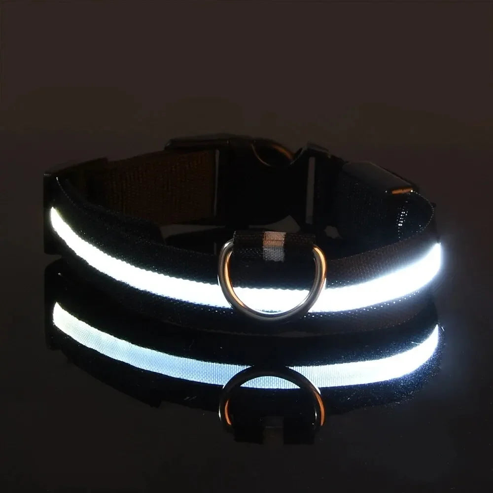 LED Nylon Dog Leash & Collar Set – Glow-in-the-Dark Flashing Pet Gear for Night Safety