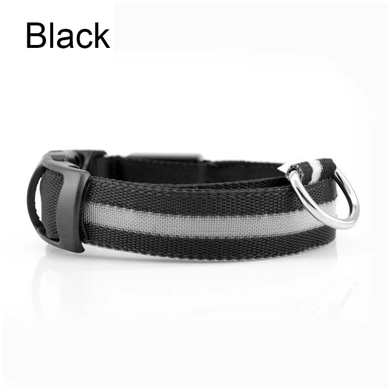 LED Nylon Dog Leash & Collar Set – Glow-in-the-Dark Flashing Pet Gear for Night Safety